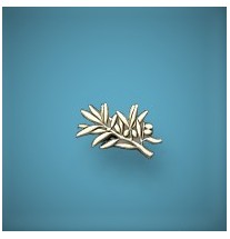 Épinglette rameau bronze